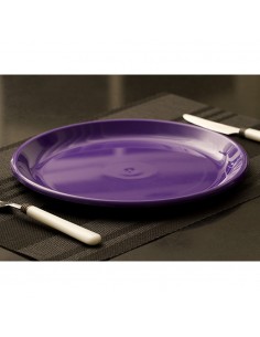 Plato Playo Plástico Grande... 2