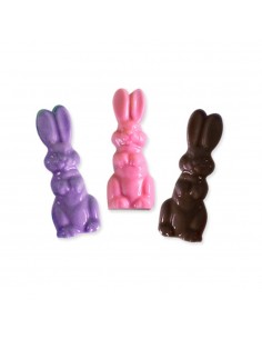 Placa Conejo Pascua Diferentes Diseños Parpen | Andreplast