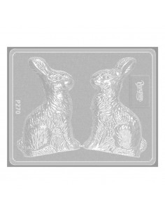 Placa Conejo Pascua Diferentes Diseños Parpen | Andreplast