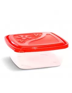 Contenedor Flor Cuadrado... 2