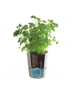 Maceta Sistema Autorriego... 2