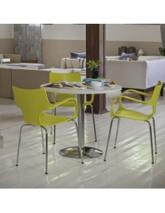 Silla Jim Rossi con Apoyabrazos y Patas de Caño | Andreplast