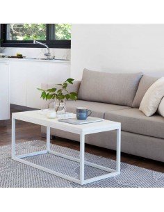 Mesa Ratona Cerezo Industrial 100x45x45 | Andreplast