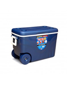 Conservadora c/ Ruedas...