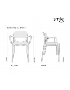 Silla Smile con Apoyabrazos Rossi Polipropileno UV | Andreplast