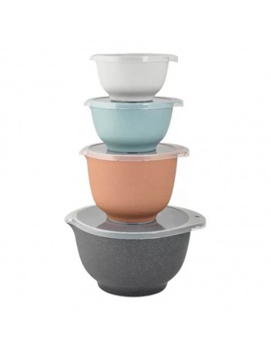 Set X4 Bowl Margreta Color c/Tapa Rosti