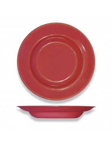 Plato Hondo Plástico Económico...