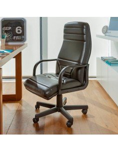 Sillón Gerencial Antlia Rossi | Andreplast