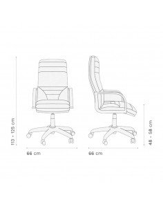 Sillón Gerencial Antlia Rossi | Andreplast